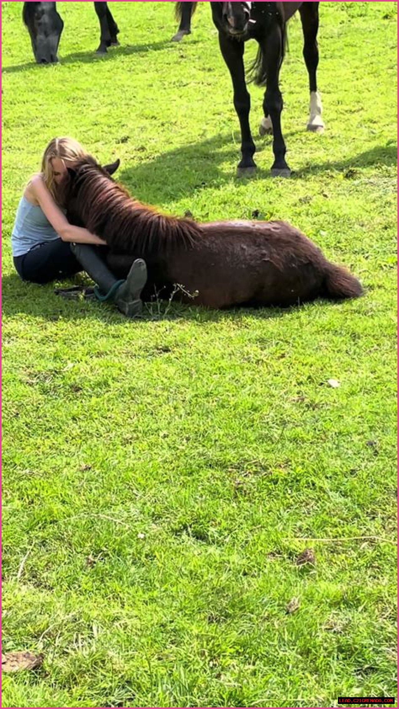 Exploring The Life And Journey Of Casper Henderson Stockwell