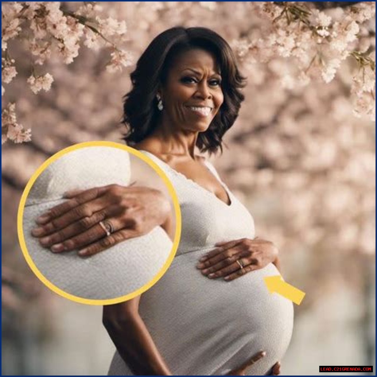 Michele Obama Pregnant: Understanding The Speculations And Truth Behind The Rumors